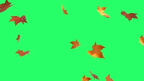 Realistic orange leaves falling on green background Stock Footage 165933557