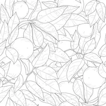 Realistic orange tree with leafs and oranges seamless pattern Illustrazione stock