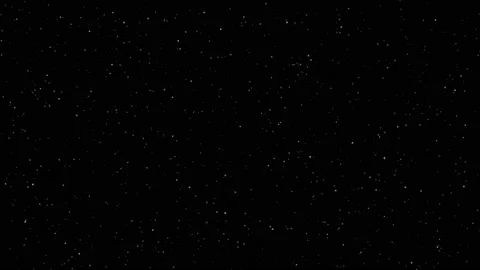 Realistic Organic Dust Particles Floating On Black Background. Dynamic Dust Stock Footage 151654910