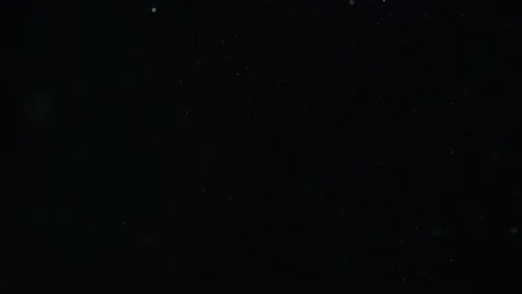 Realistic Organic Dust Particles Stock Footage 164683232