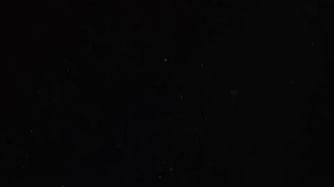 Realistic Organic Dust Particles Stock Footage 164683302