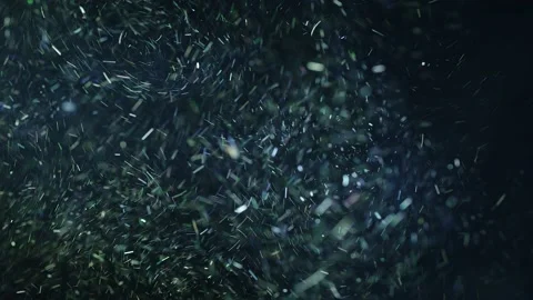 Realistic Organic Dust Particles Stock Footage 164683392