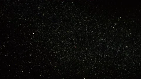 Realistic Organic Dust Particles Stock Footage 164683509