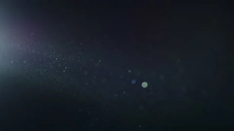 Realistic Organic Dust Particles Stock Footage 164683537