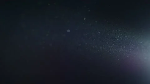 Realistic Organic Dust Particles Stock Footage 164683616