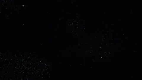 Realistic Organic Dust Particles Stock Footage 164683669