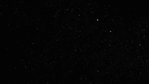 Realistic Organic Dust Particles Stock Footage 164683750