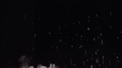 Realistic Organic Dust Particles Stock Footage 164683818