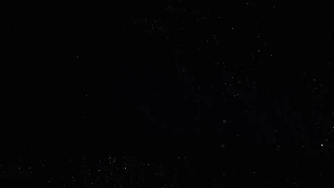 Realistic Organic Dust Particles Stock Footage 164683857