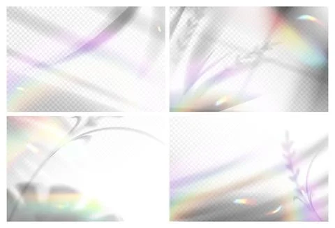Realistic palm leaf with shadow overlay and blurred rainbow light prism effect Stock Illustration
