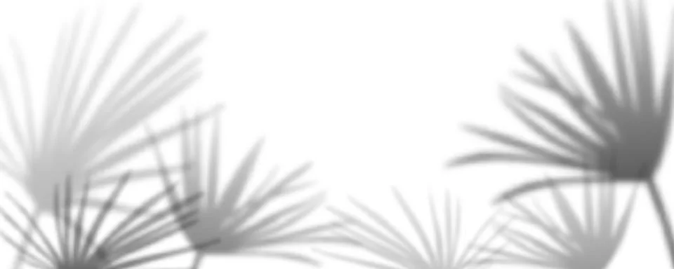 Realistic palm leaf shadow overlay effect Stock Illustration