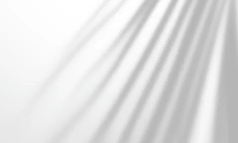 Realistic palm shadow overlay effect on a white wall background scene for pho Foto stock