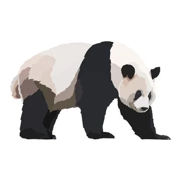 Realistic panda icon vector illustration wild animal. Stock Illustration