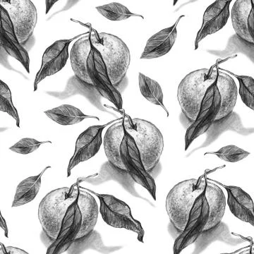 Realistic pencil seamless pattern with orange, mandarin with leaves, Stock Illustration