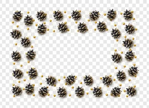 Realistic pine cones isolated on a transparent background. vector illustratio Stockillustratie