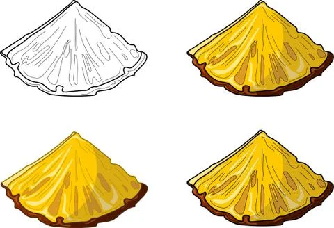Realistic pineapple slice template set. Cartoon vector illustration Stock Illustration