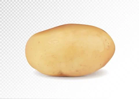 Realistic potato, 3d vector illustration Illustrazione stock