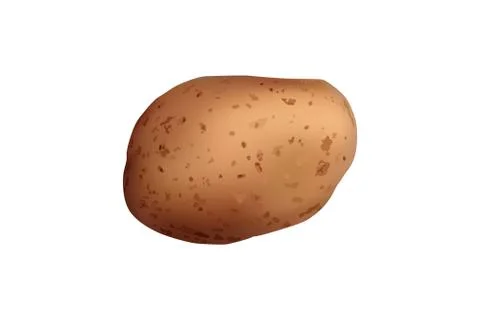 Realistic potato tuber. Stock Illustration