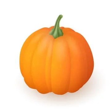 Realistic pumpkin isolated on white background. Bright orange vegetable. Stock Illustration