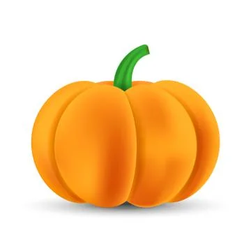 Realistic pumpkin isolated on white background. Vector illustration. Stock Illustration