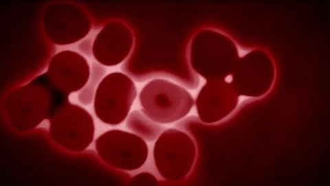 Stem Cell Stock Video Footage | Royalty Free Stem Cell Videos | Pond5