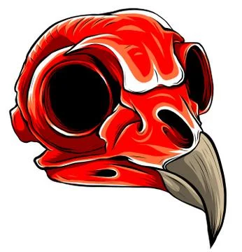 Realistic red bird skull. vector Illustration for designer on a white background Stock Illustration