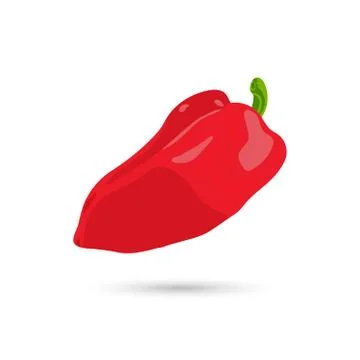 Realistic red pepper イラスト素材