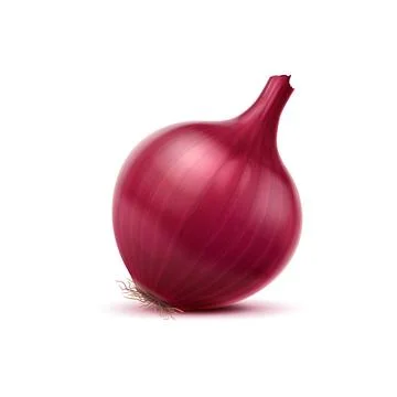 Realistic red raw onion, isolated whole vegetable Illustrazione stock