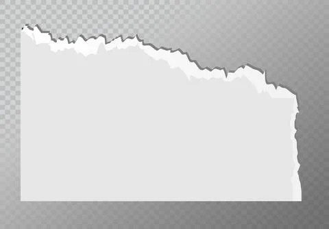 Realistic ripped white paper sheets isolated on transparent background. Torn Stock Illustration