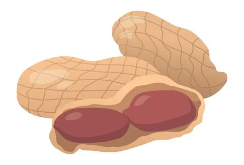 Realistic roasted peanut nuts white background - Vector Stock Illustration