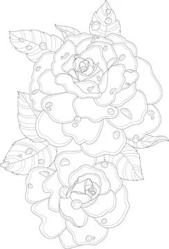 Realistic rose flowers with rain drops graphic sketch template. Stock Illustration