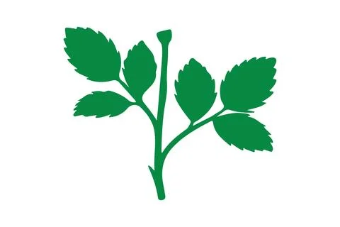 Realistic with rose leaves Vector Image Illustrazione stock