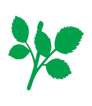 Realistic with rose leaves Vector Image Stock Illustration