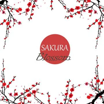 Blossom Japanese Sakura Cherry Flower Pattern Stock Illustration