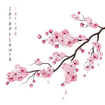 Realistic Sakura Branch Illustration