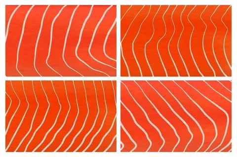Realistic salmon fish meat texture backgrounds Stockillustratie