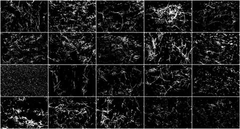 Realistic Scratch Texture. 스톡 일러스트