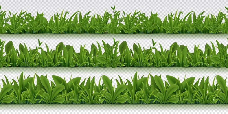 Realistic seamless grass border. Spring pattern with 3D spring herbs, realistic 스톡 일러스트