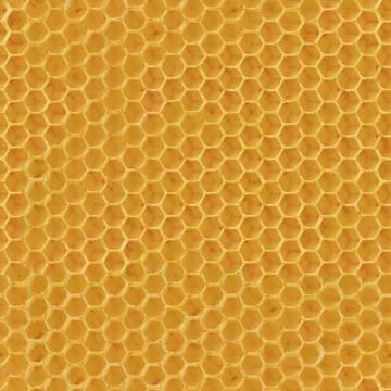 Realistic seamless texture of honeycomb Stock Illustration