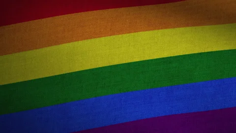 Realistic Seamless Waving Flag Loop - Pride Stock Footage 142781419