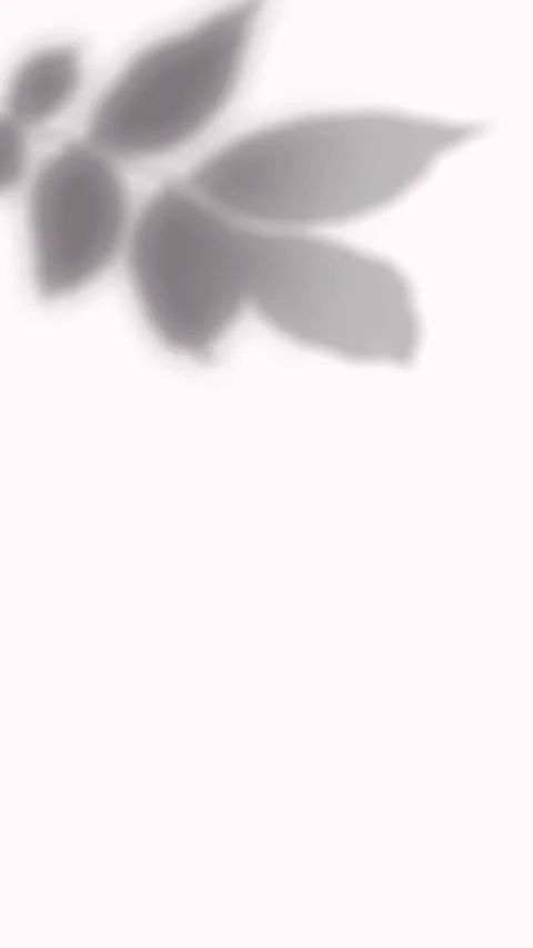 Realistic shadow of branch with pointed broad leaves cast on white background Vídeos de archivo 346907388