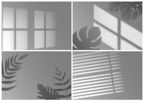 Realistic shadow overlay. Window light with shadow texture of tropical plant 스톡 일러스트