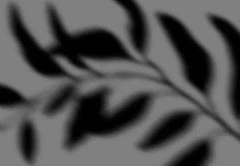 Realistic shadow transparent overlay Stock Illustration