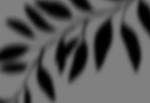 Realistic shadow transparent overlay Stock Illustration