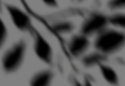 Realistic shadow transparent overlay Stock Illustration