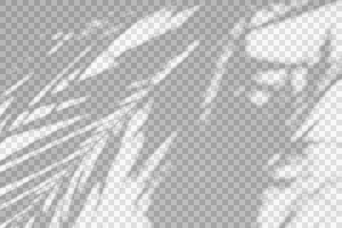 Realistic shadow transparent overlay Illustrazione stock