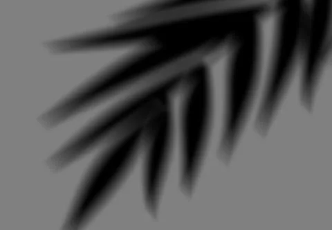 Realistic shadow transparent overlay Illustrazione stock