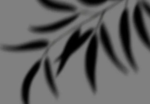 Realistic shadow transparent overlay Stock Illustration