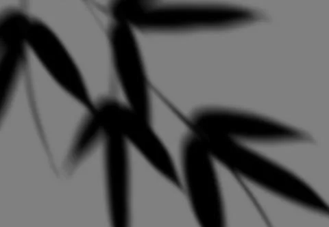 Realistic shadow transparent overlay Stock Illustration