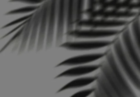 Realistic shadow transparent overlay Stock Illustration